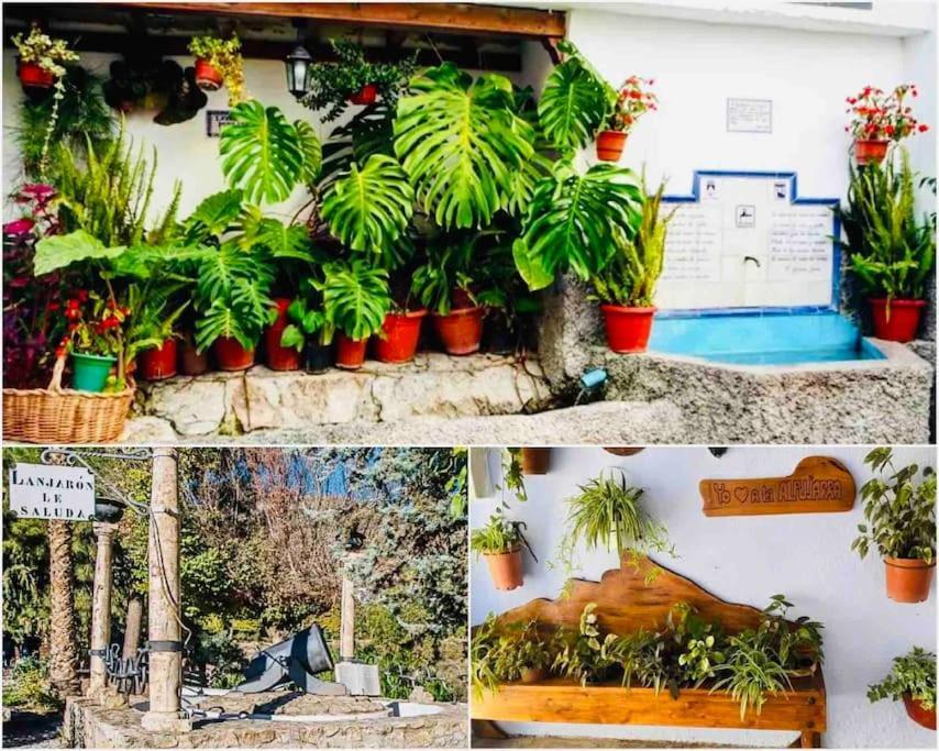 El Aguacate Villa Lanjaron Bagian luar foto
